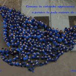 video-pour-les-futurs-petite-section